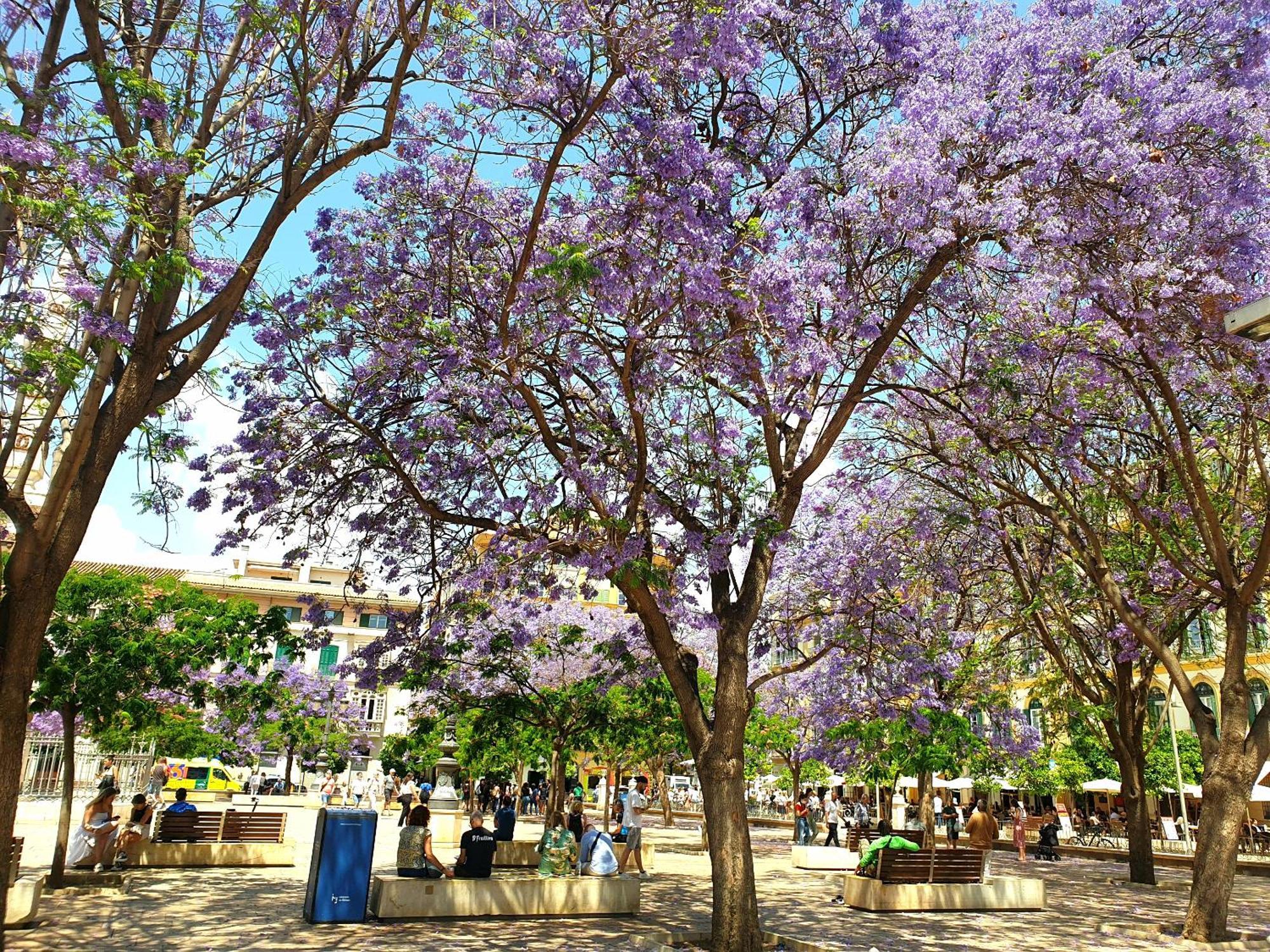 Appartamento Picasso'S Neighbor Málaga Esterno foto